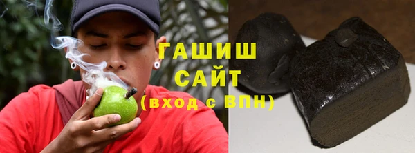 дмт Богданович