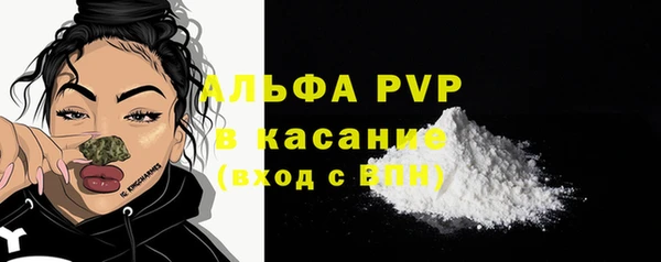 твердый Бердск