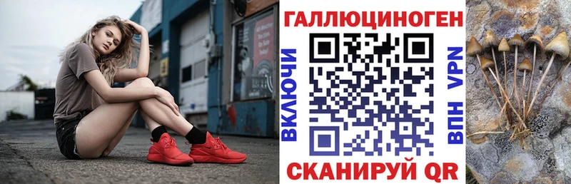 даркнет сайт  Малая Вишера  Галлюциногенные грибы Magic Shrooms 
